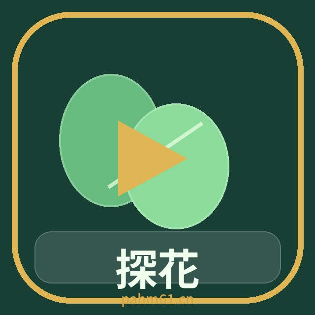 探花